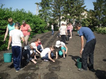 Работа на пришкольном участке