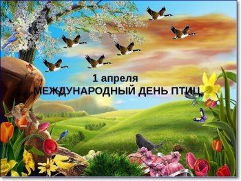 День птиц