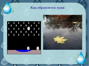 « Почему образуются лужи?»