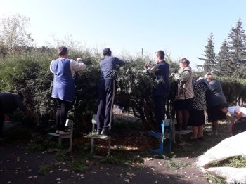 В школе прошел осенний субботник