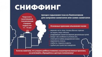 Родительское собрание "Сниффинг"