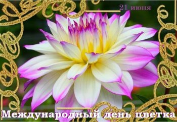 21 июня - Международный день цветка. 