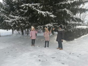 " Волшебная зима". Экскурсия в природу