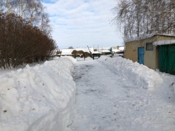 Зимний субботник