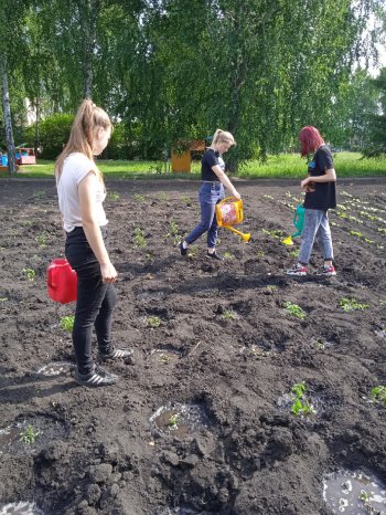 Работа на пришкольном участке